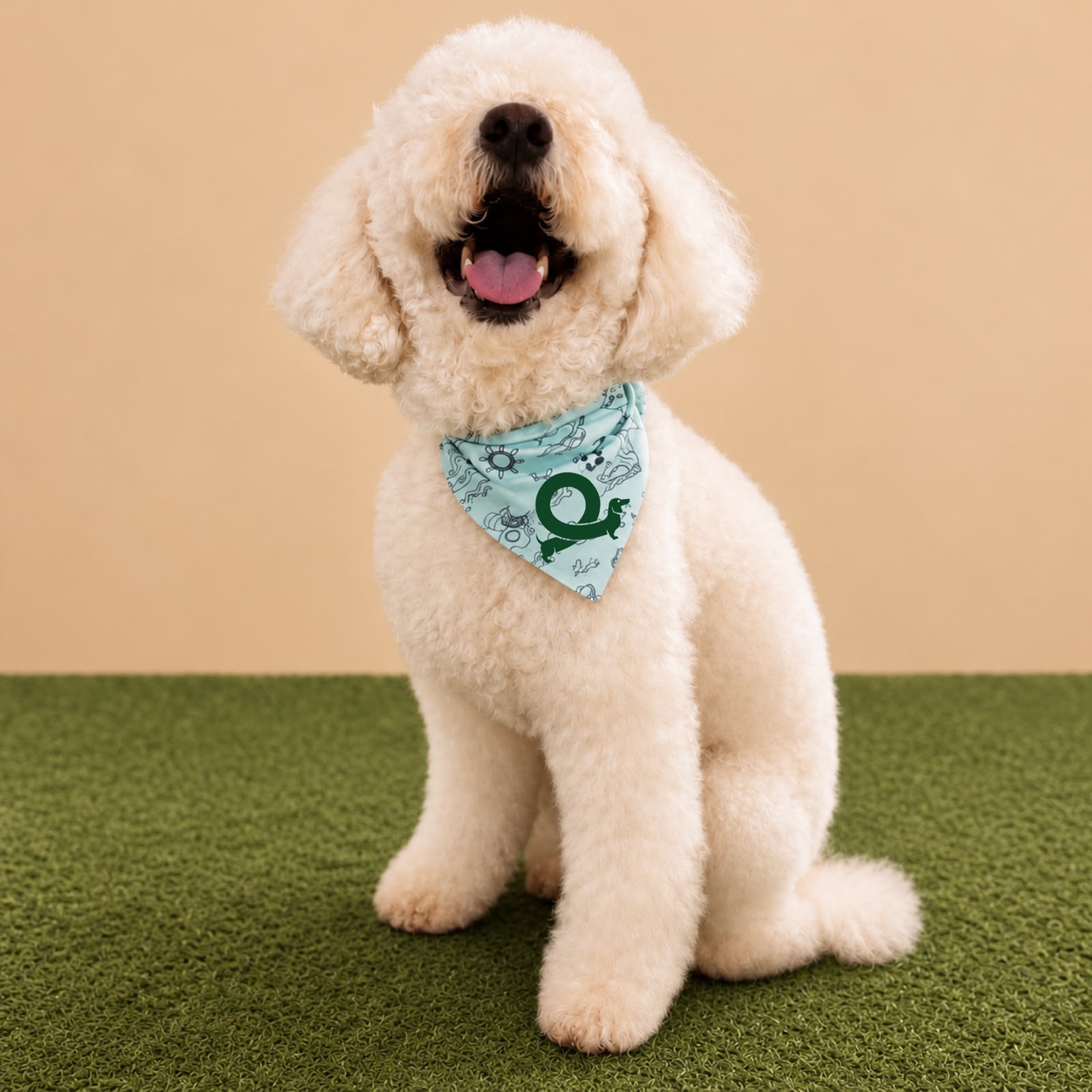 Jardines de las instalaciones de Dog Club