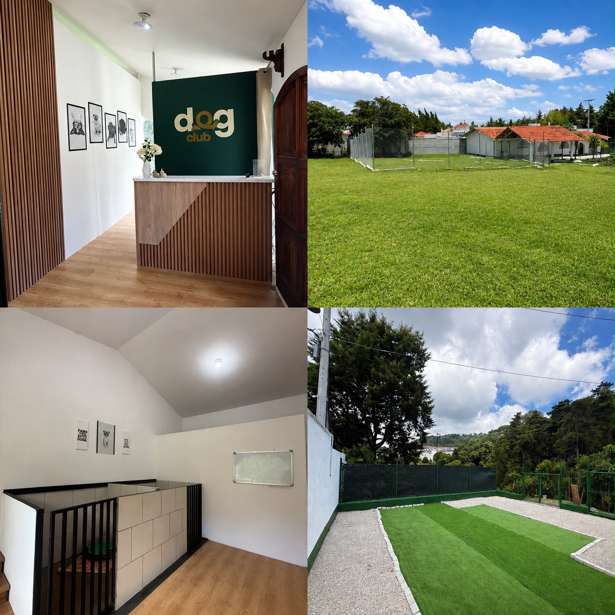 Sendero natural dentro de las instalaciones de Dog Club